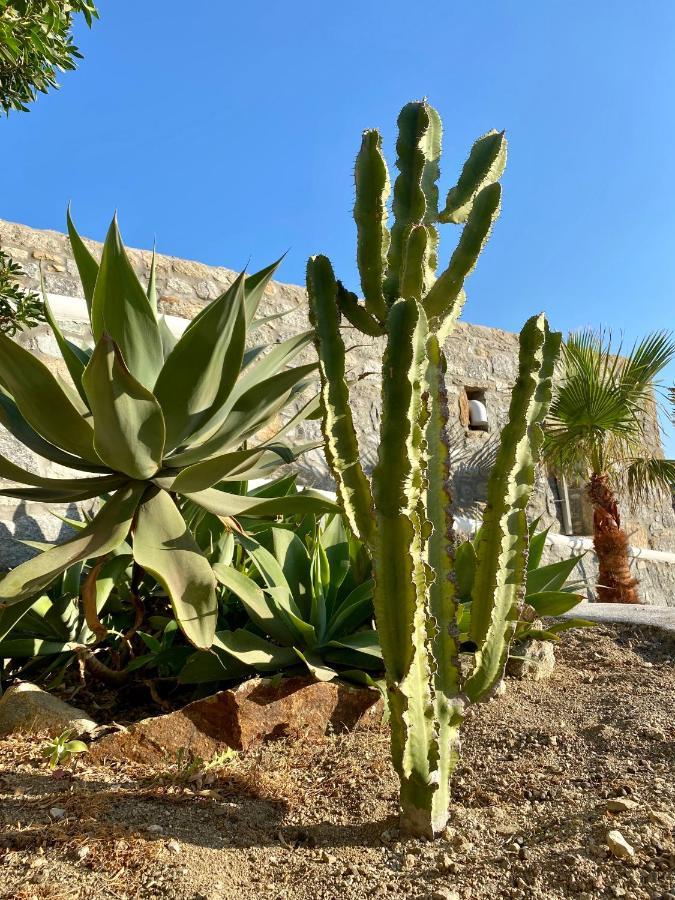 Ferienwohnung Sensus Mykonos Kalafatis Exterior foto